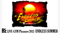 Thumbnail for version as of 08:50, 25 August 2013