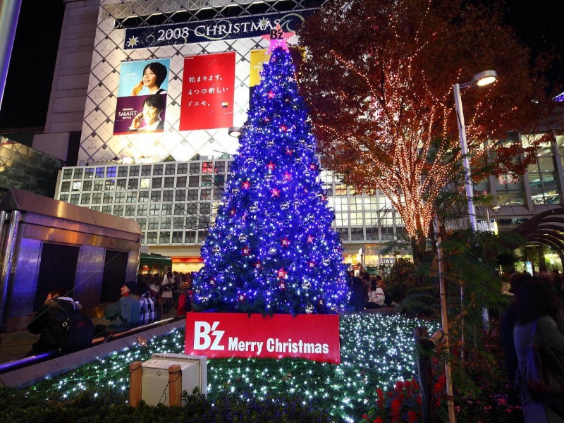 File:2008christmastree.jpg